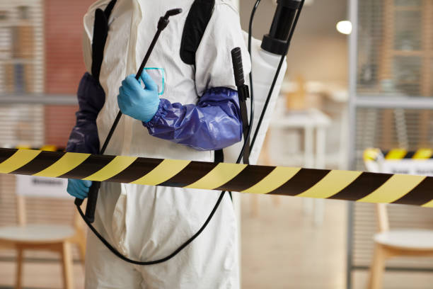 Professional Sewage Cleanup technician working in Mesopotamia, OH